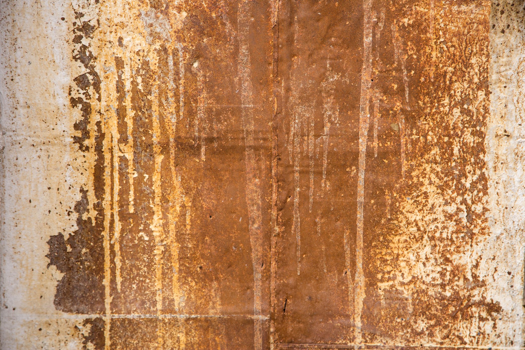 How To Stop Cans From Rusting at Megan Hankins blog
